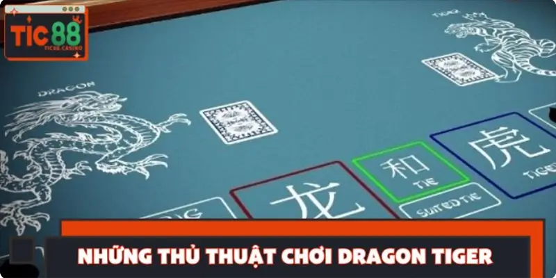 Bí quyết đặt cược Dragon Tiger khôn ngoan Bí quyết đặt cược Dragon Tiger khôn ngoan
