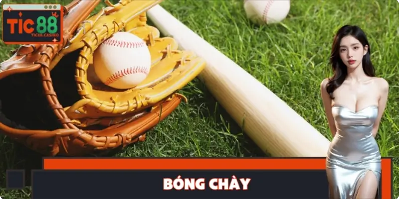 Bóng Chày TIC88 – Phân Tích Chỉ Số Giúp Chốt Kèo Ổn Định