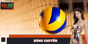 Bóng Chuyền TIC88 - Hướng Dẫn Cá Cược Linh Hoạt Dễ Thắng