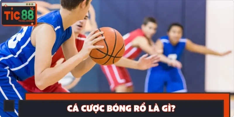 Cá cược bóng rổ là gì? Cá cược bóng rổ là gì?