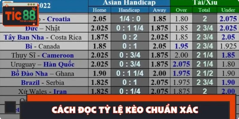 Cách đọc tỷ lệ kèo chuẩn xác, hiệu quả cao