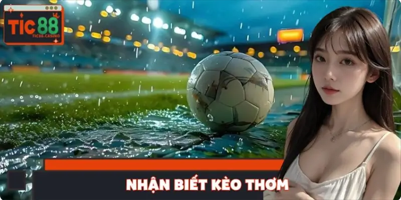 Cách Nhận Biết Kèo Thơm Dễ Trúng Nhất 2025 - Bí Kíp Cao Thủ