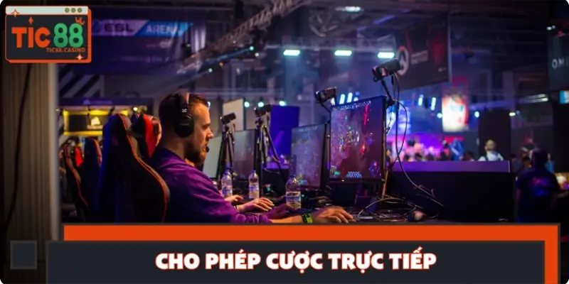 Cho phép cược trực tiếpc-truc-tiep