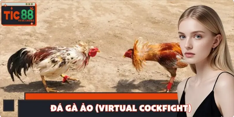 Đá Gà Ảo (Virtual Cockfight) - Trải Nghiệm Nhanh, Dễ Thắng
