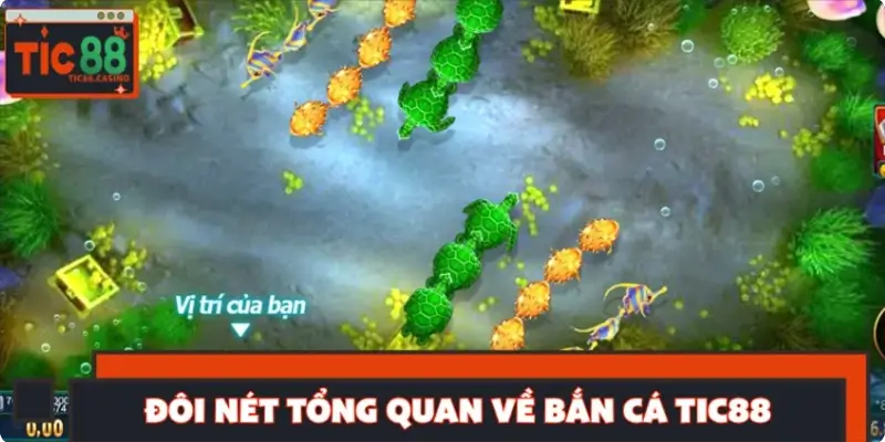 Đôi nét tổng quan về bắn cá TIC88
