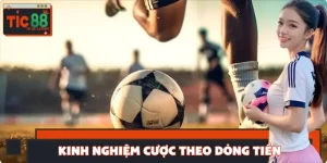 Kinh Nghiệm Cược Theo Dòng Tiền - Bí Kíp Dành Riêng Cho Dân Pro 2025