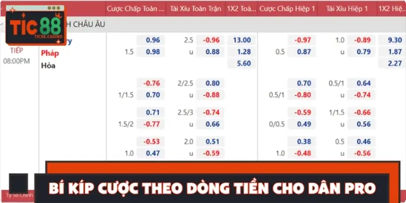 Kinh nghiệm cược theo dòng tiền dành cho các cao thủ Kinh nghiệm cược theo dòng tiền dành cho các cao thủ