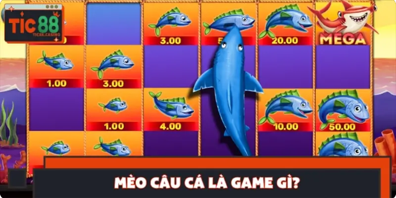 Mèo câu cá là game gì?
