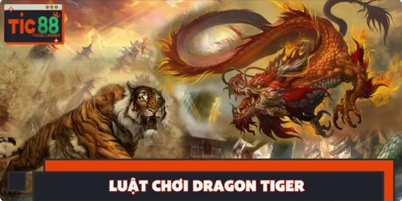 Quy tắc chơi Dragon Tiger dễ dàng cho game thủ Quy tắc chơi Dragon Tiger dễ dàng cho game thủ