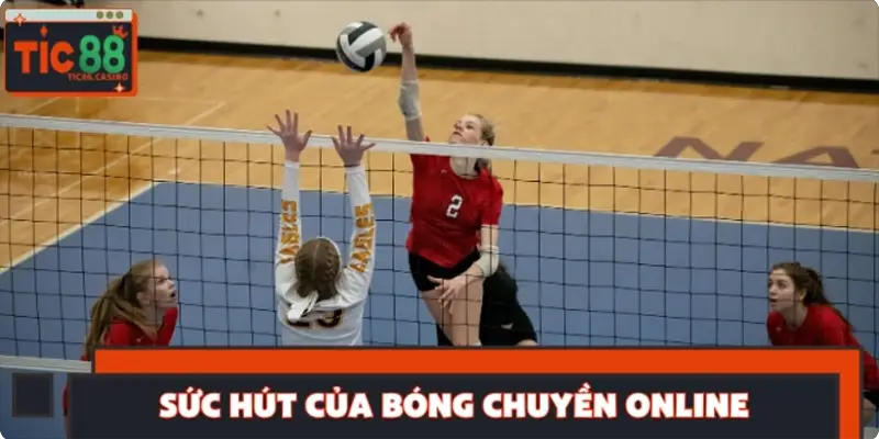 Sức hút của bóng chuyền online