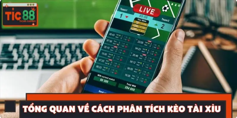 Tổng quan về cách phân tích kèo Tài Xỉu cho người chơi mới