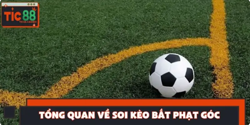 Tổng quan về soi kèo bắt phạt góc dành cho người mới
