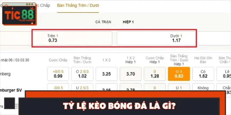 Tỷ lệ kèo bóng đá là gì? Kiến thức nền tảng cho người mới