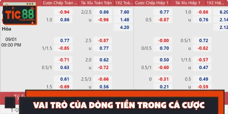 Vai trò của dòng tiền trong cá cược và cơ chế hoạt động Vai trò của dòng tiền trong cá cược và cơ chế hoạt động