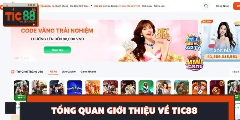 Một số thông tin giới thiệu về nhà cái cho tân binh Một số thông tin giới thiệu về nhà cái cho tân binh